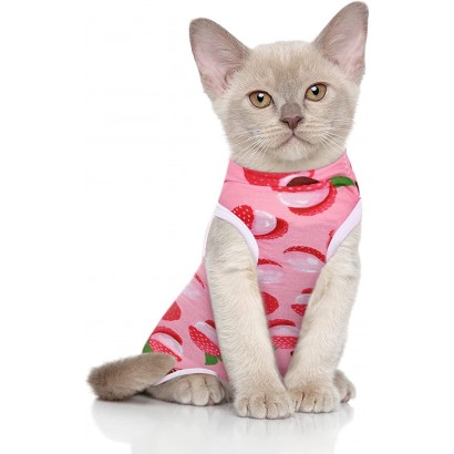 Cat Poly cotton Suit