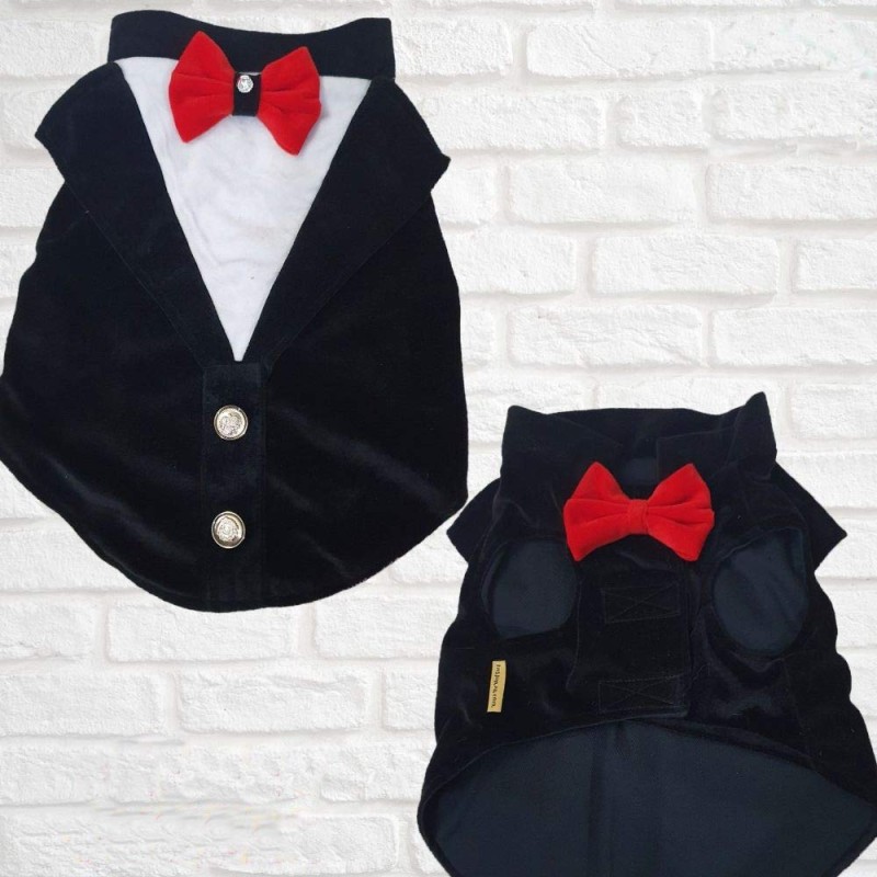 Velvet Tuxedo With Red Bow