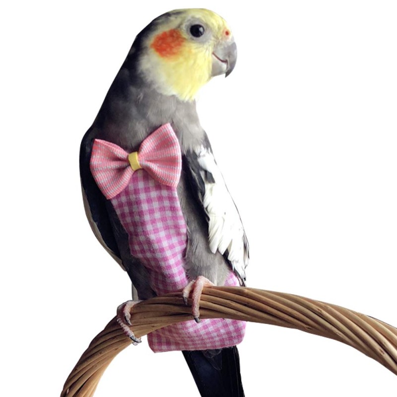 Cockatiel Bird Diaper